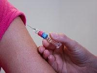 Ронколейкин